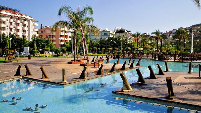 Pool with Palm Trees — Blue, Serene, Afternoon, Photograph
