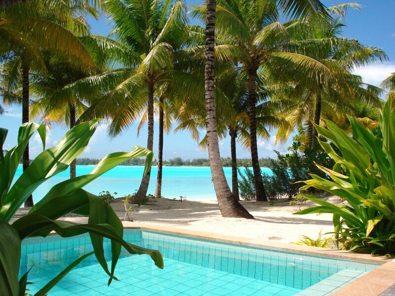 Pool with Palm Trees — Blue, Serene, Afternoon