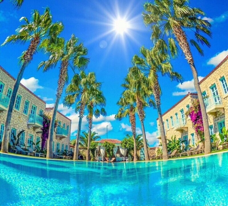 Pool with Palm Trees — Blue, Sunny