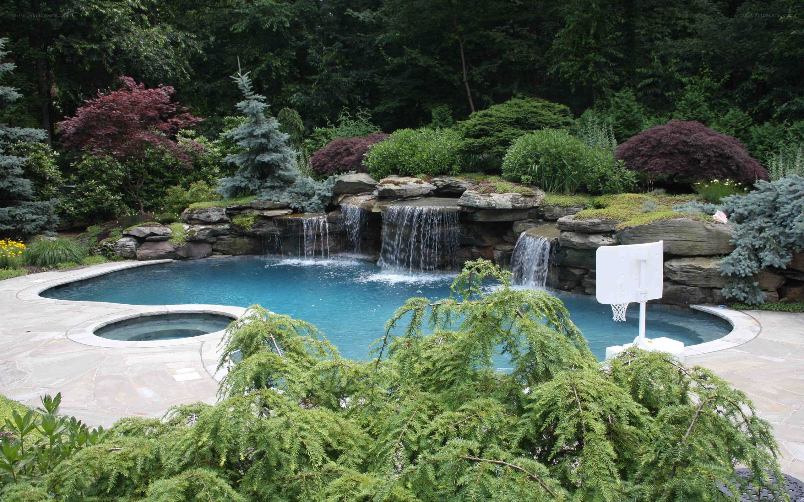 pool with waterfall and basketball hoop