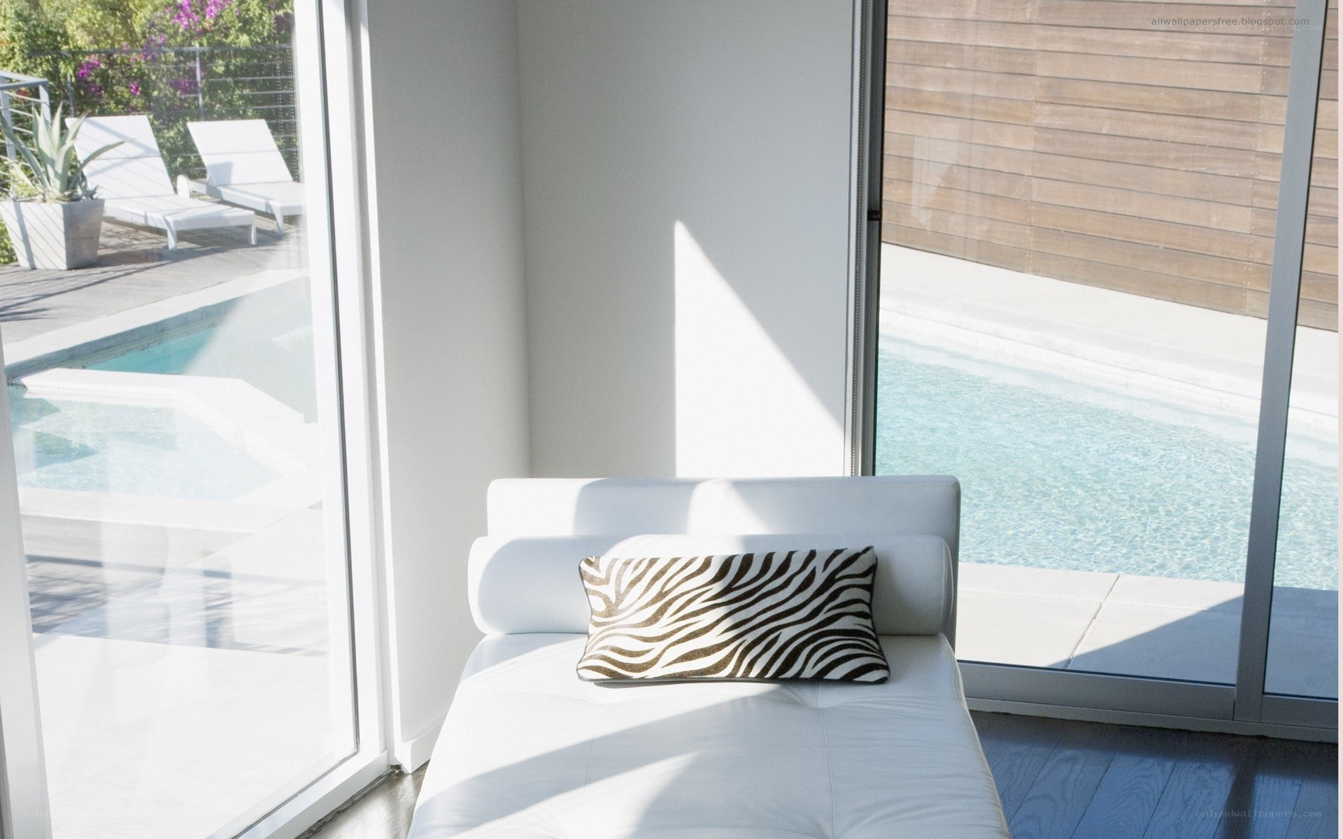 Poolside lounge chair with zebra pillow