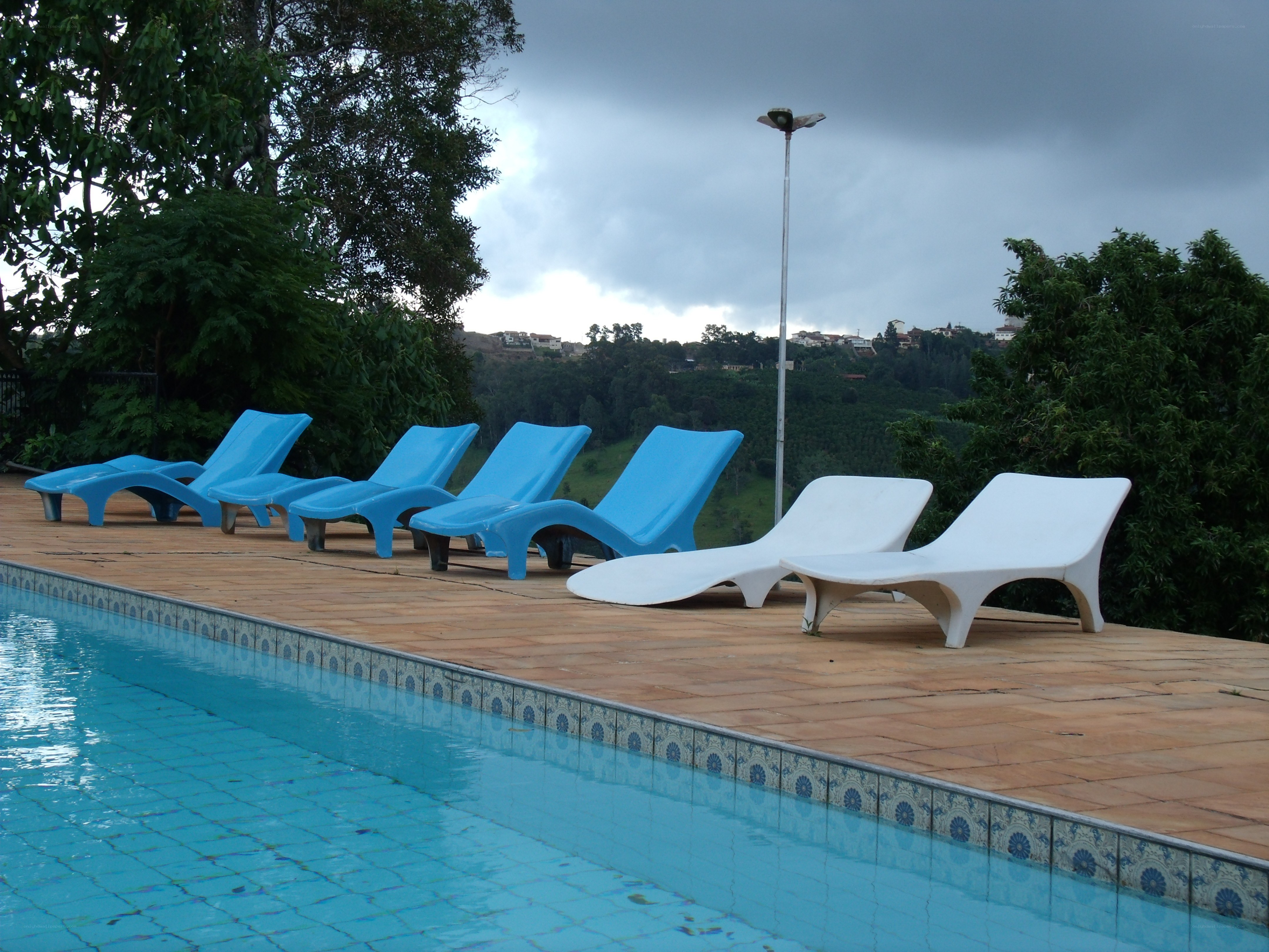 Poolside lounge chairs at a resort