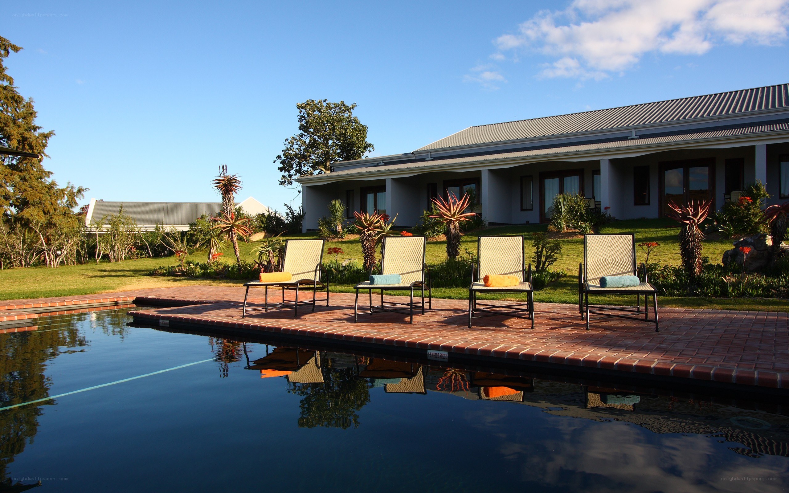 Poolside lounge chairs at a villa