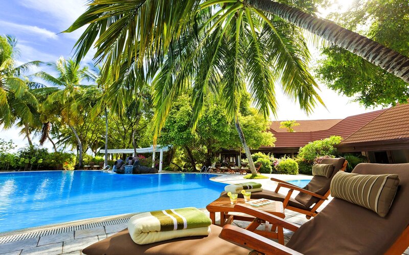 Poolside Lounge Chairs — Blue, Relaxed, Afternoon, Photograph, Palm Trees, Swimming Pool