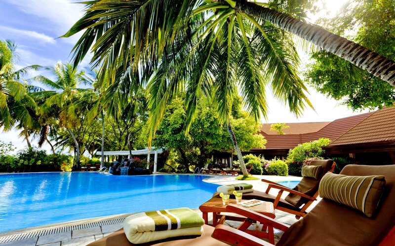 Poolside Lounge Chairs — Blue, Relaxed