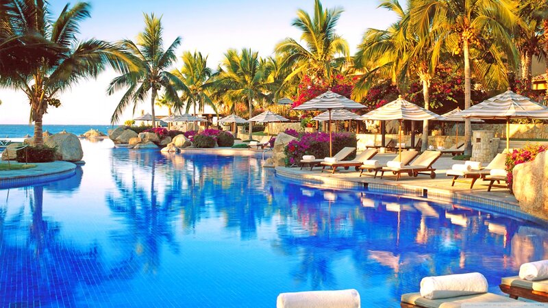 Poolside Resort Area — Blue, Serene, Afternoon, Photograph, Palm Trees, Lounge Chairs