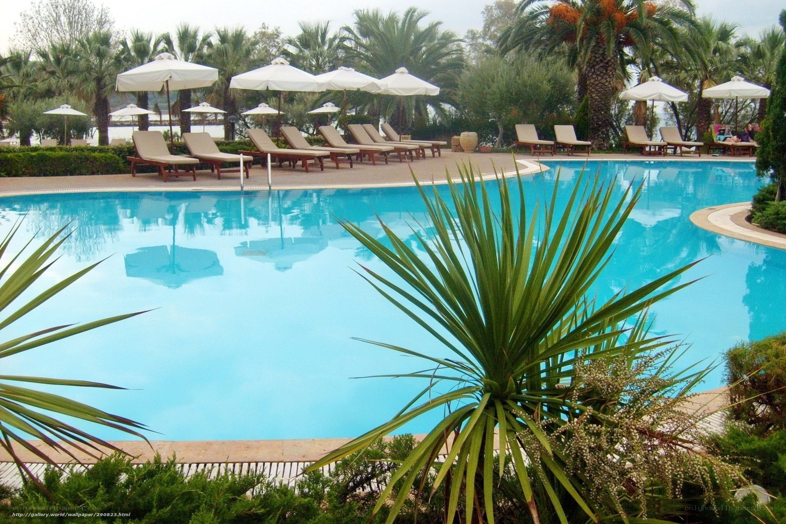 poolside resort with lounge chairs