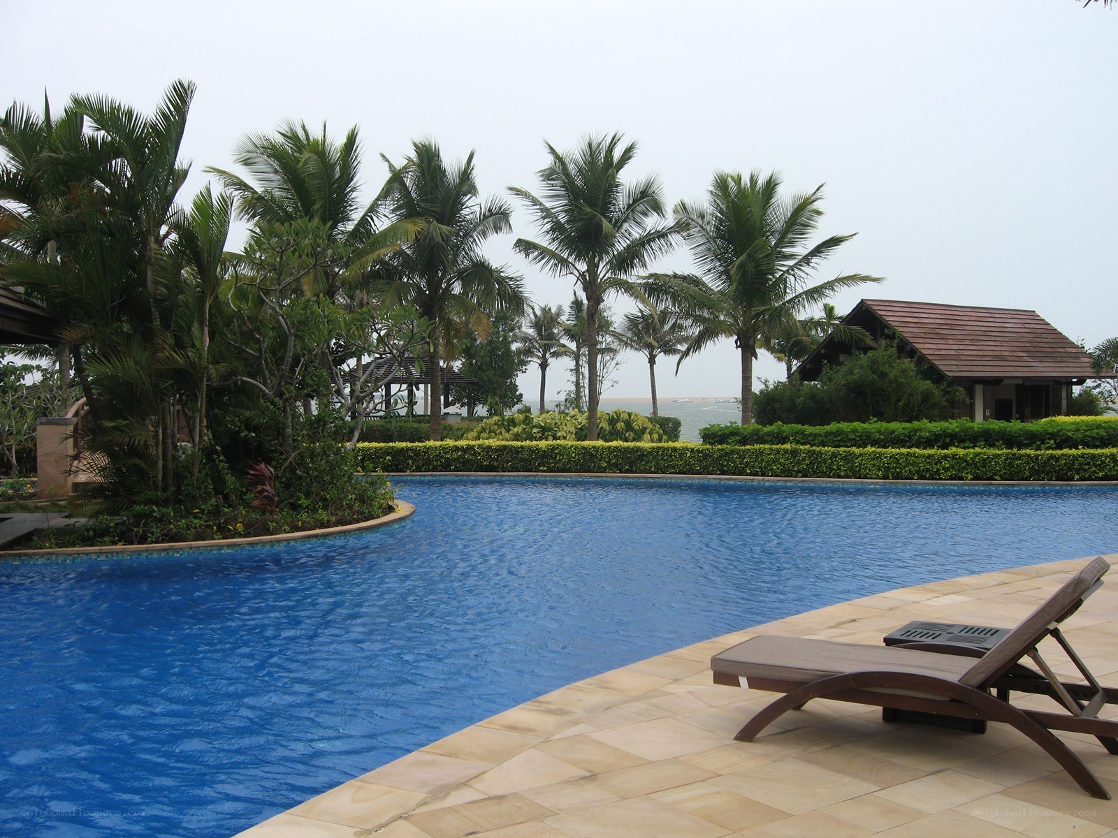 Poolside resort with palm trees