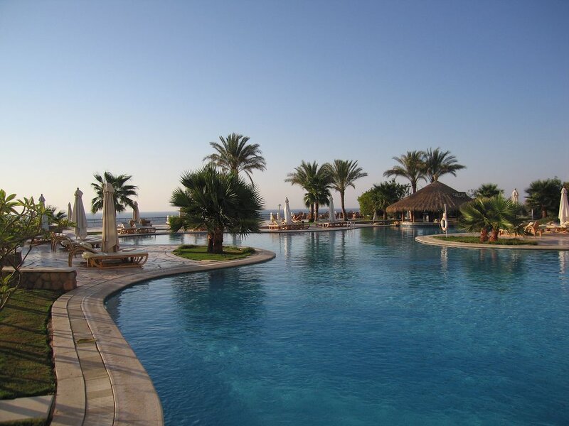 poolside resort with palm trees