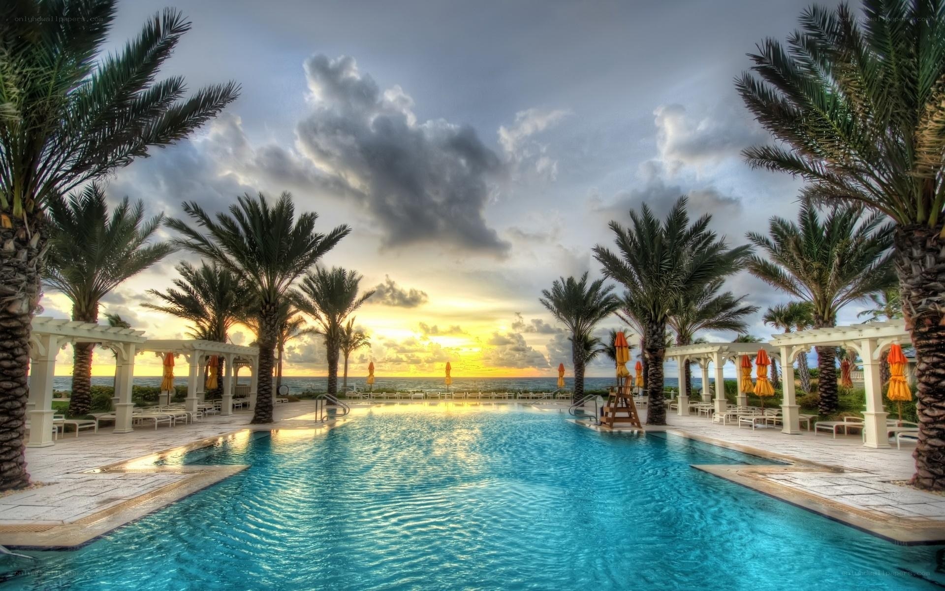 poolside sunset with palm trees