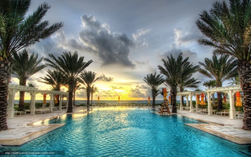 Poolside sunset with palm trees