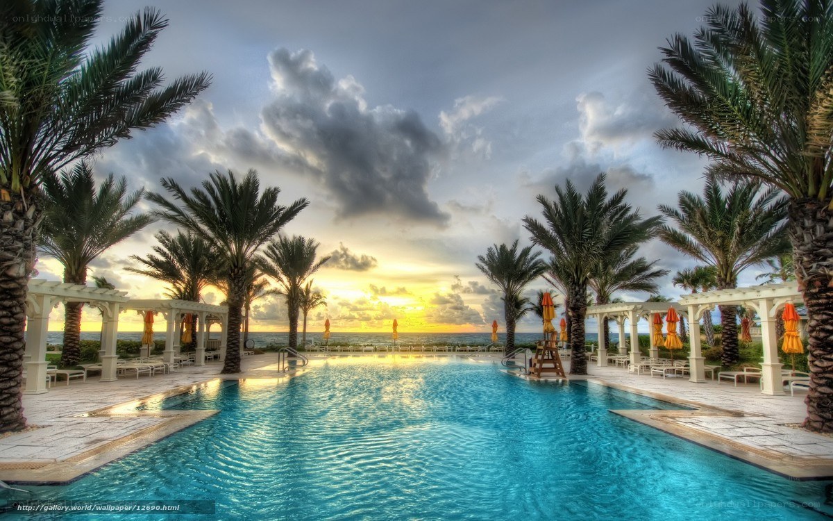 Poolside sunset with palm trees