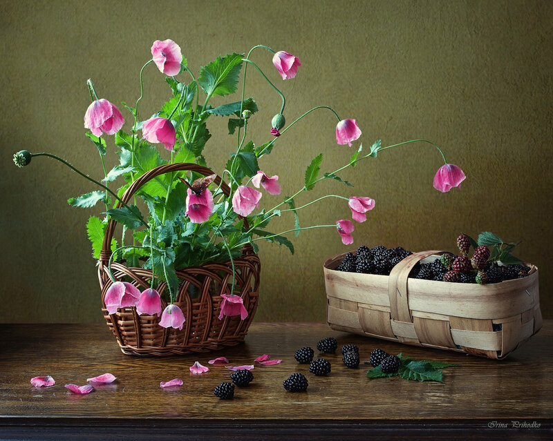Poppies and Blackberries