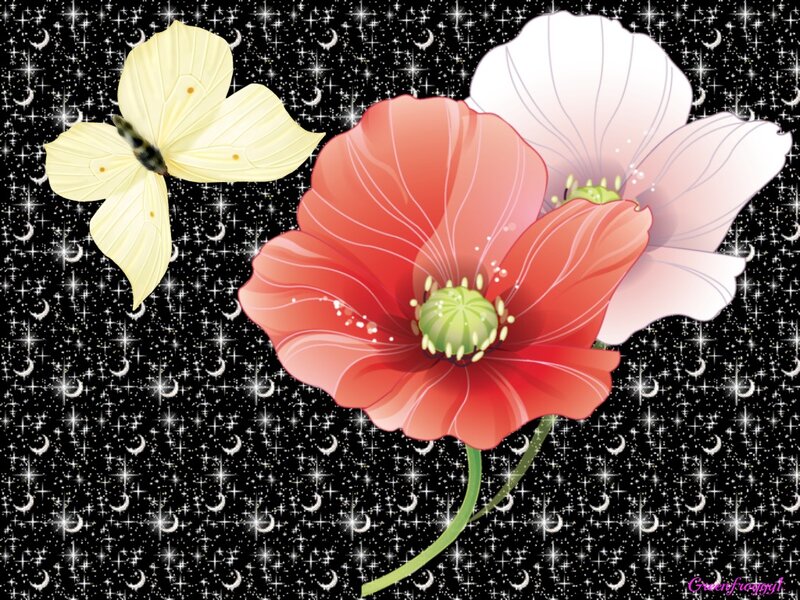 Poppies and Butterfly — Red