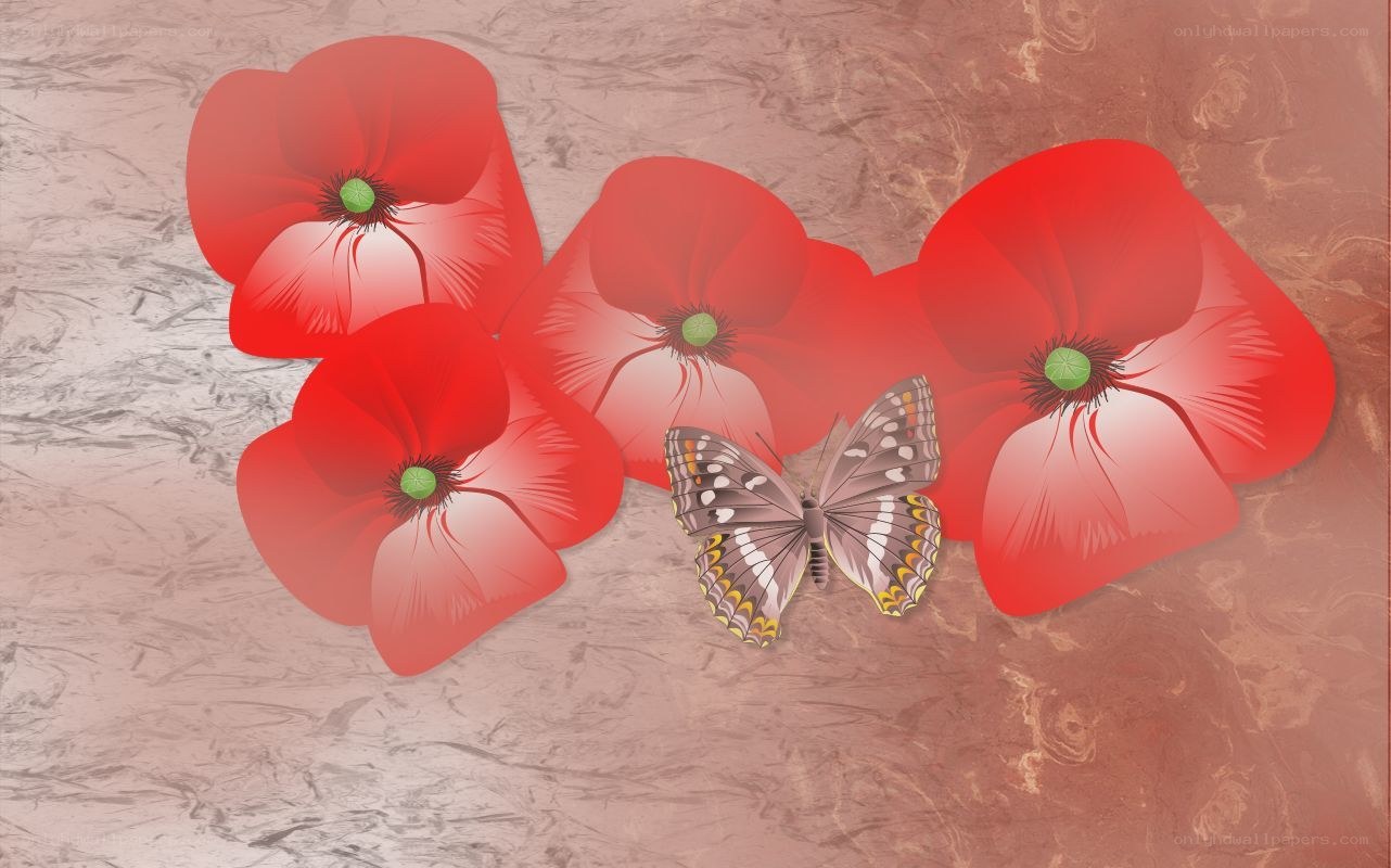 poppies and butterfly