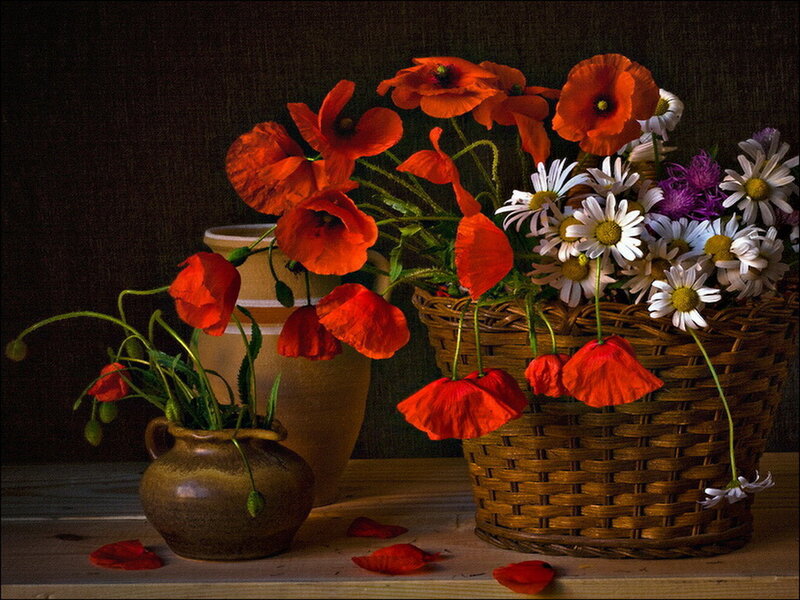 Poppies and Daisies in Basket