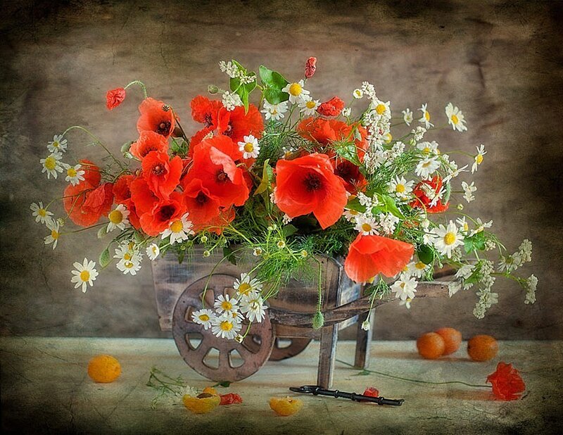 Poppies and Daisies in Cart