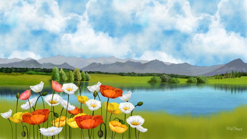 Poppies by a Lake