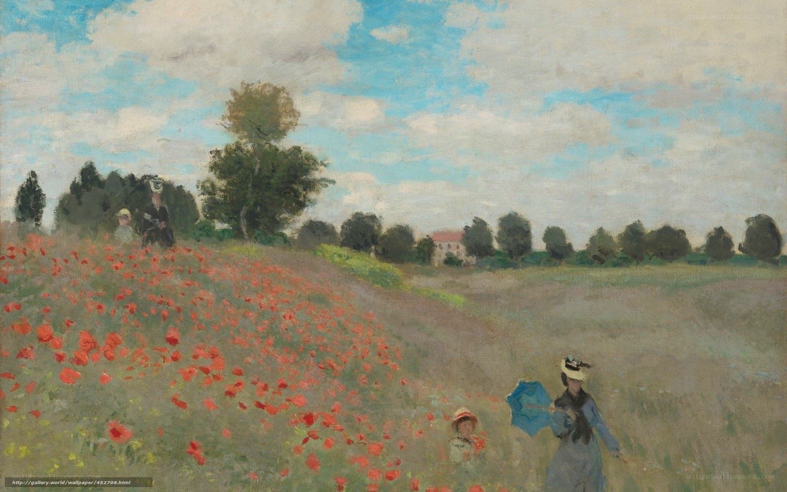 Poppies in a Field