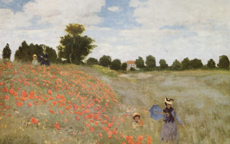 Poppies in a Field