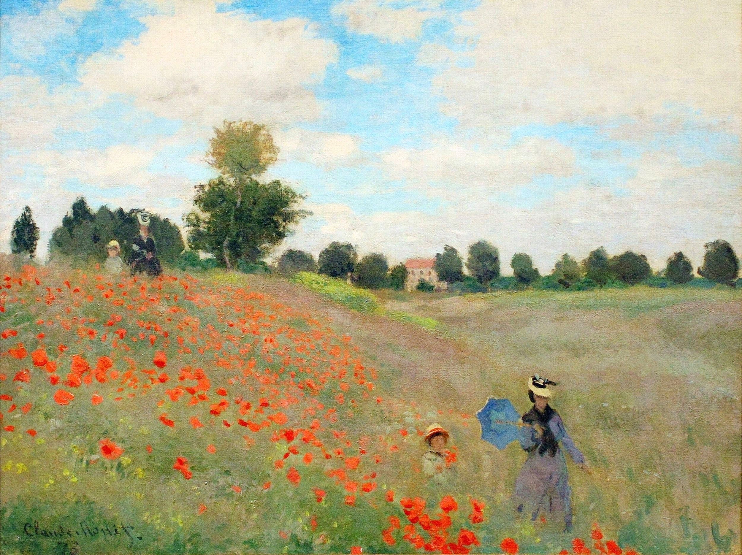 Poppies in a Field