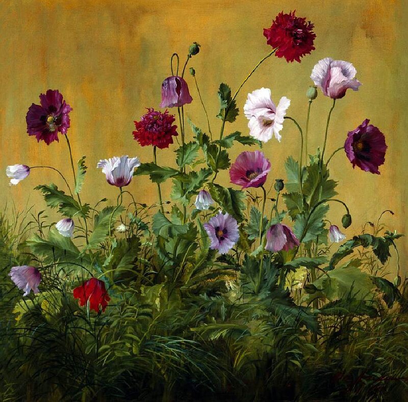 Poppies in a Field — Green