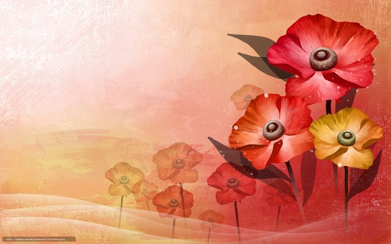 Poppies in a Field — Red, Warm