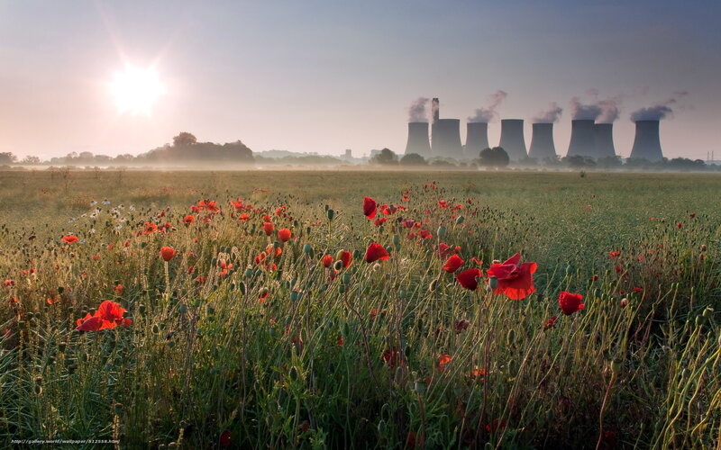 Poppies in a field with power plant