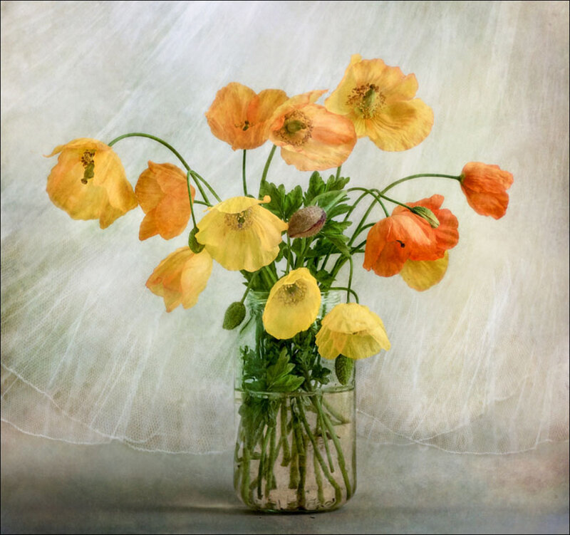 Poppies in a Jar