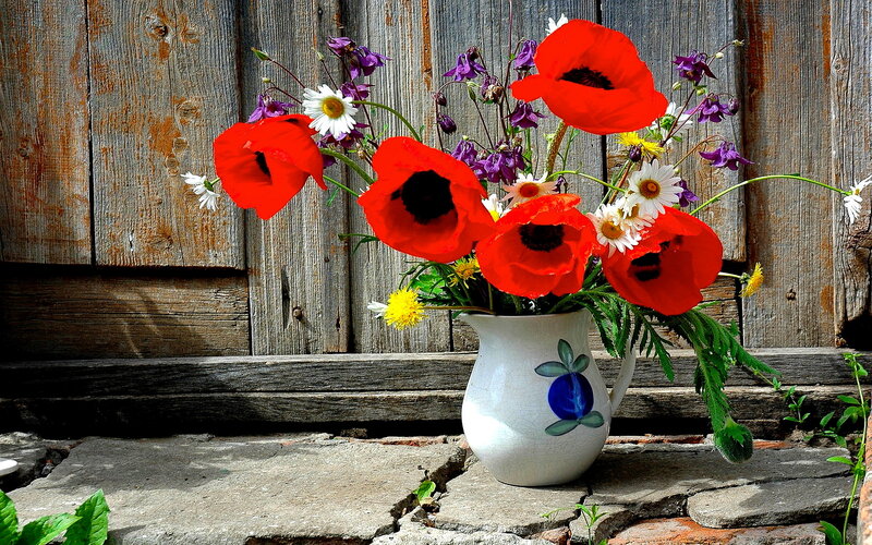 Poppies in a Jug — Red, Serene