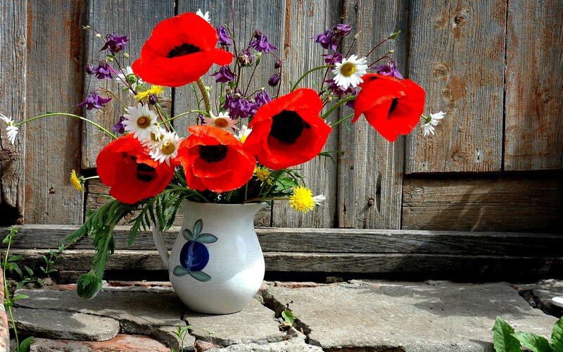 Poppies in a Jug