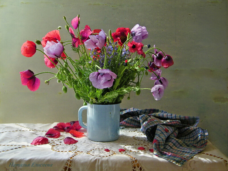 Poppies in a Mug — Purple