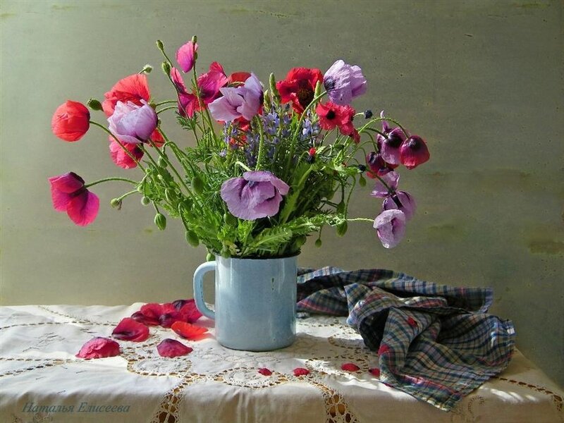 Poppies in a Mug