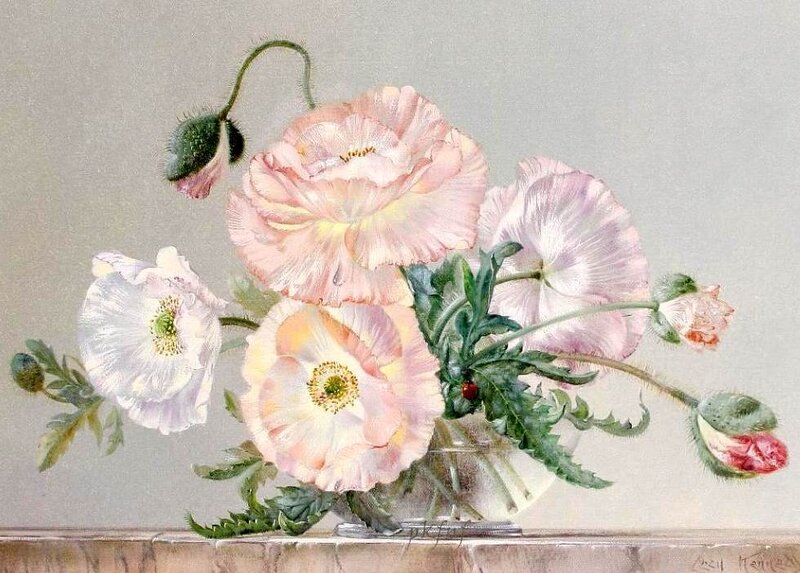Poppies in a Vase — Pink, Serene