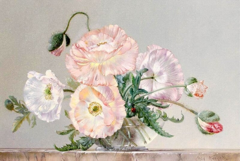Poppies in a Vase — Pink