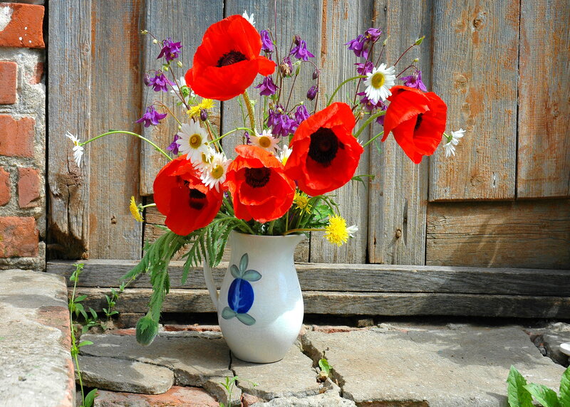 Poppies in a Vase — Red, Calm