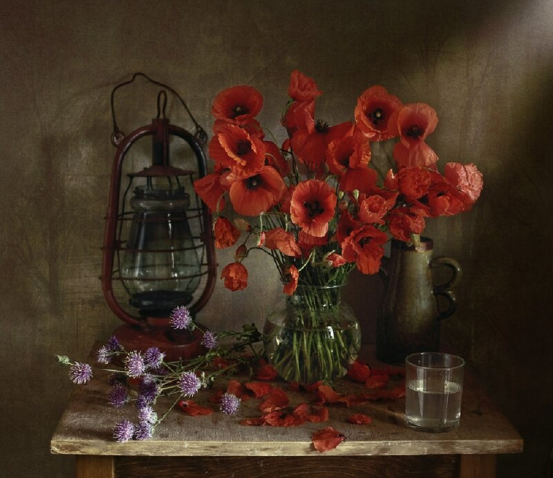 Poppies in a Vase — Red, Dramatic, Photograph, Lantern