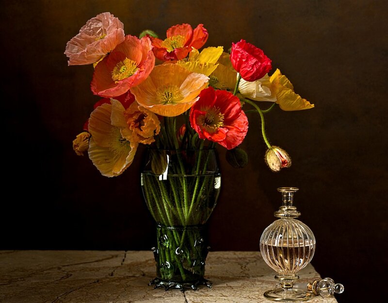 Poppies in a Vase — Red, Dramatic, Photograph