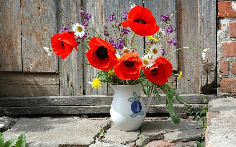 Poppies in a Vase — Red, Serene, Afternoon