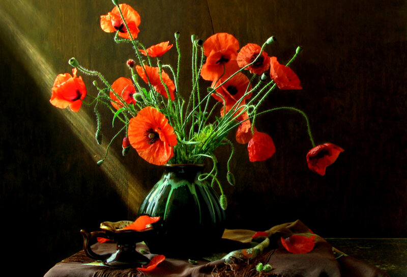 Poppies in a vase
