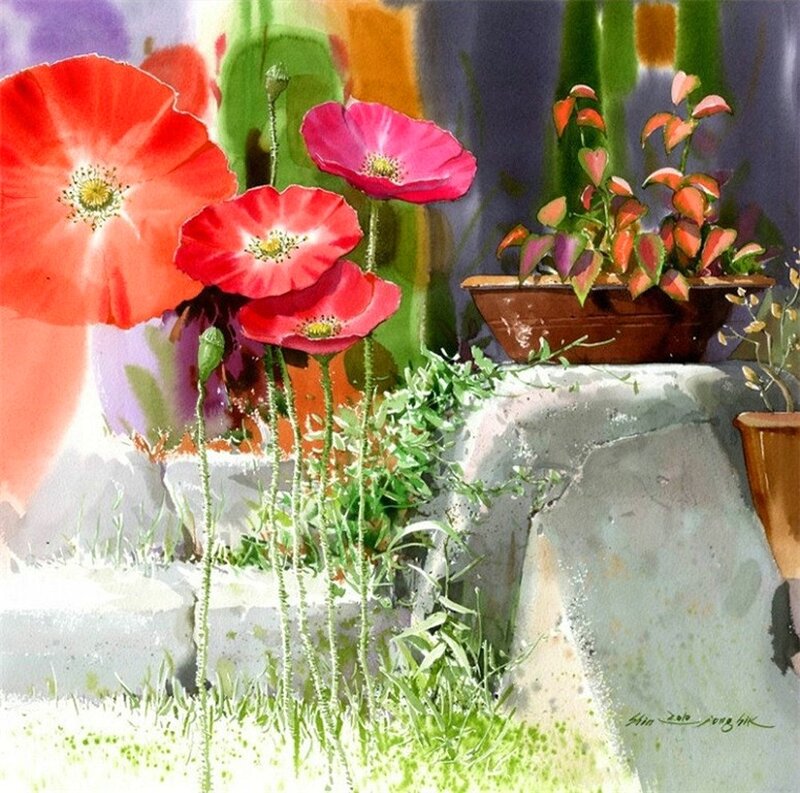 Poppies in Garden — Red