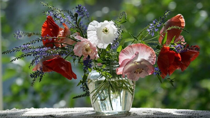 Poppies in Glass Vase