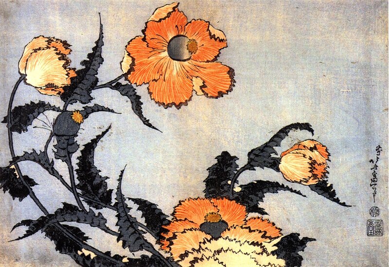 Poppies in Japanese print