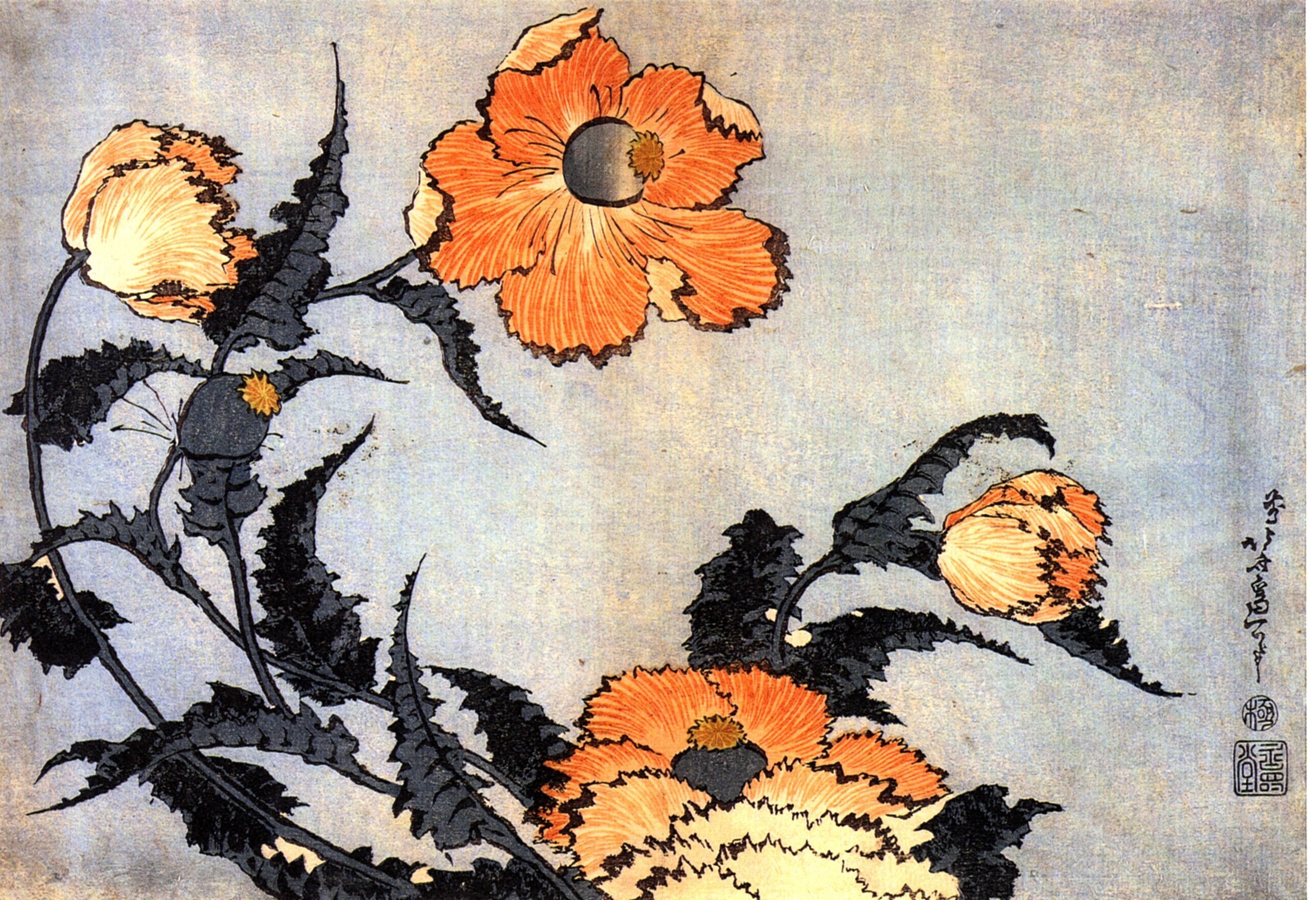Poppies in Japanese print