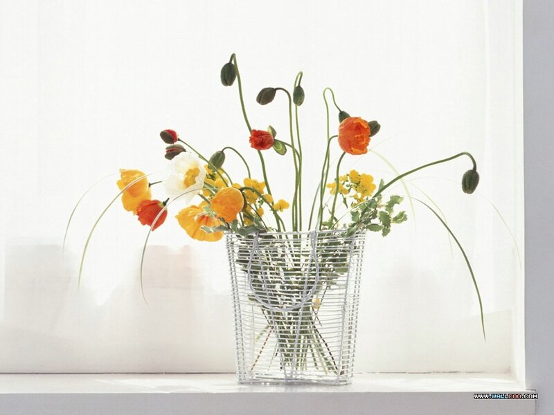 Poppies in Wire Basket