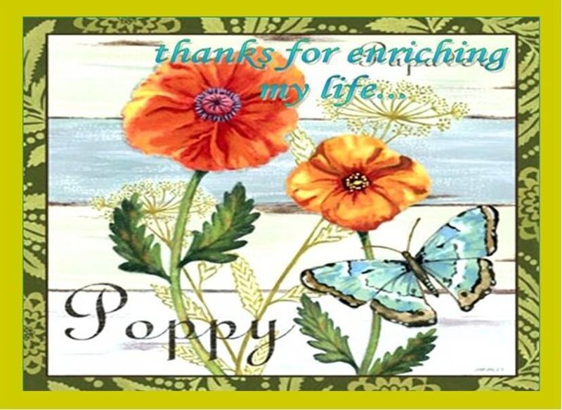 Poppy and butterfly thank you card