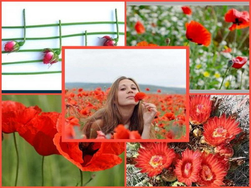 Poppy collage with woman
