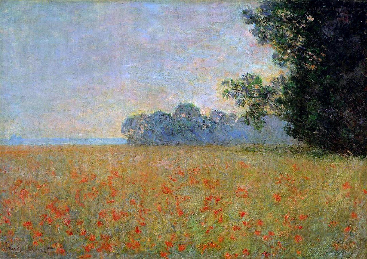 Poppy Field at Sunset