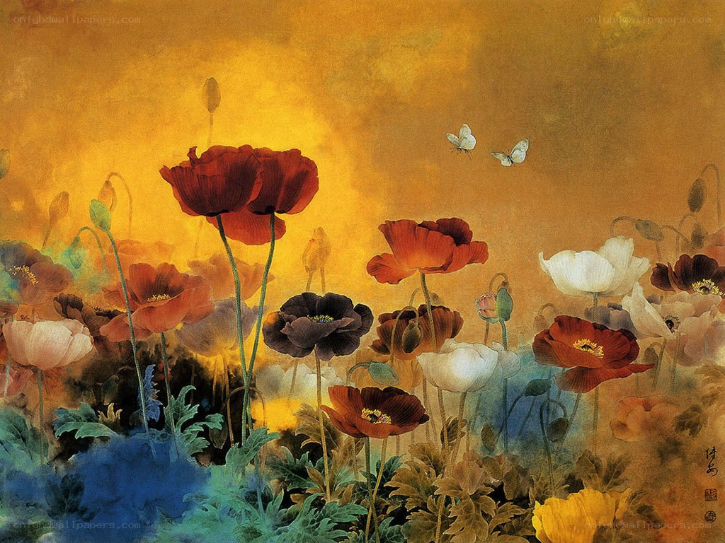 Poppy field at sunset