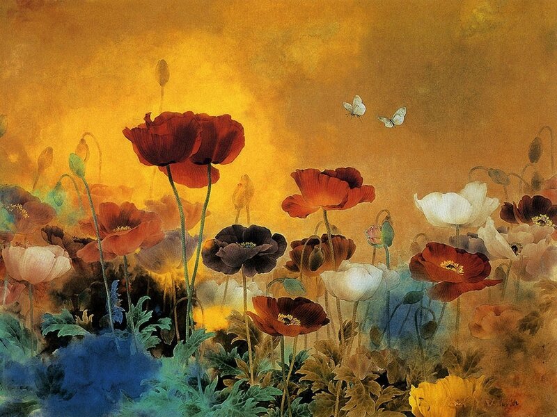 Poppy field at sunset